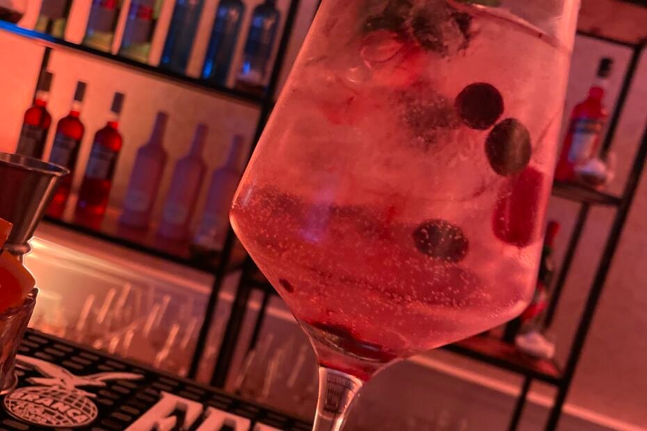 Gin tonic de frutos rojos